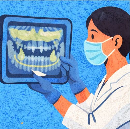 Ортодонтическая диагностика